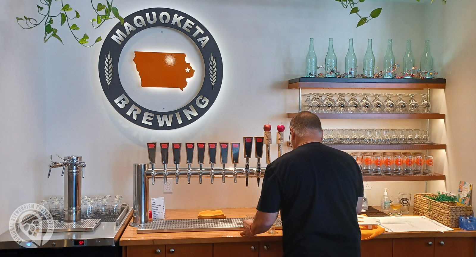 bartender at Maquoketa Brewing pouring beer from tap