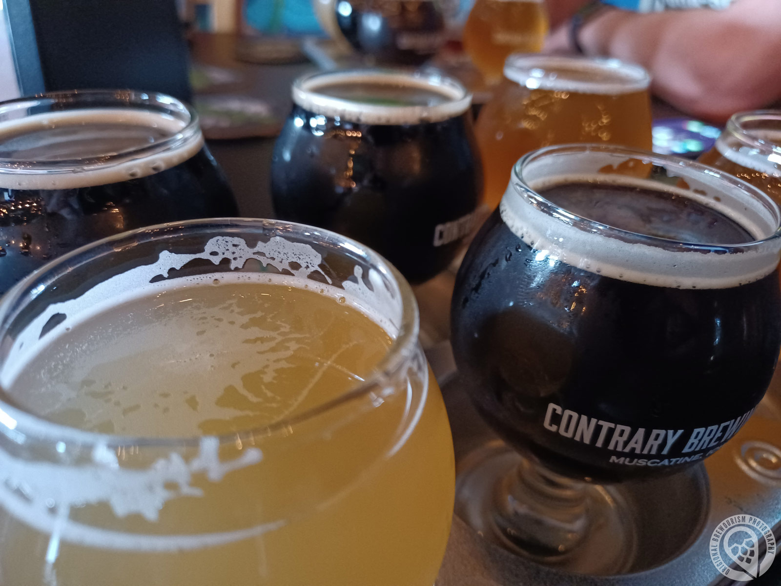 Flight of beer from Contrary Brewing