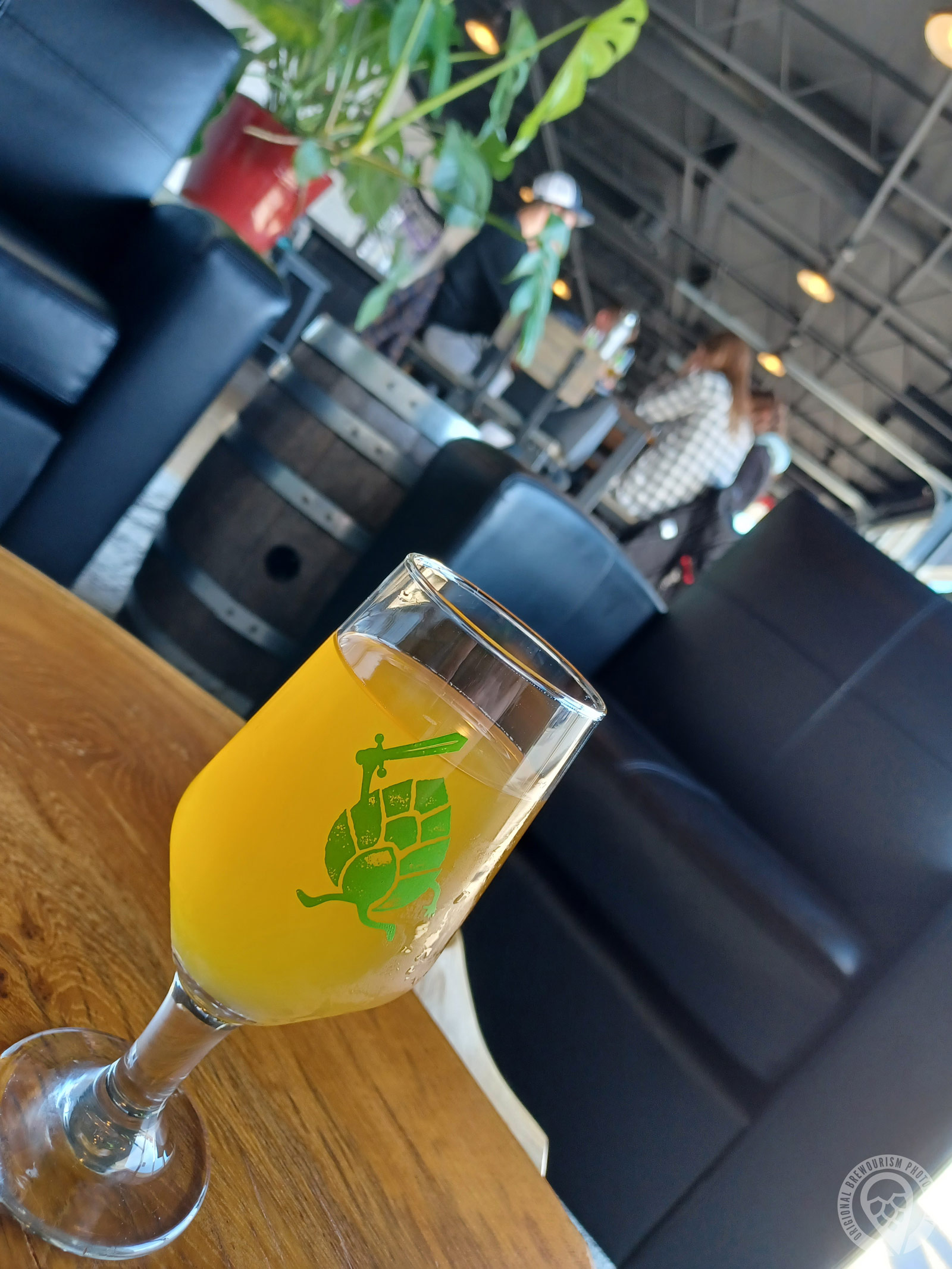 One glass of beer from Adventurous Brewing on coffee table